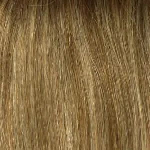 Ashley Wig by Envy | Synthetic (Lace Front Traditional Cap)
