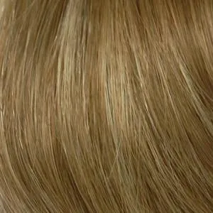 Ashley Wig by Envy | Synthetic (Lace Front Traditional Cap)
