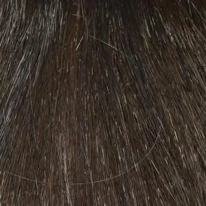 Ashley Wig by Envy | Synthetic (Lace Front Traditional Cap)