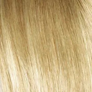 Ashley Wig by Envy | Synthetic (Lace Front Traditional Cap)