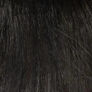 Ashley Wig by Envy | Synthetic (Lace Front Traditional Cap)