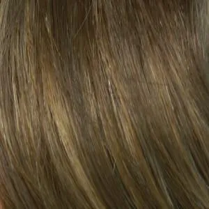 Ashley Wig by Envy | Synthetic (Lace Front Traditional Cap)