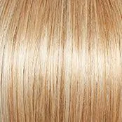 Aspire Wig by Gabor | Synthetic (Open Cap)