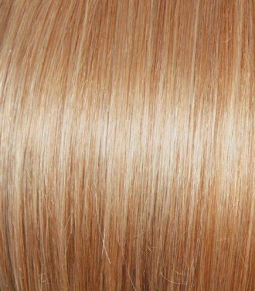 Best In Class Wig by Gabor | Heat Friendly Synthetic Lace Front