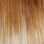 Best In Class Wig by Gabor | Heat Friendly Synthetic Lace Front