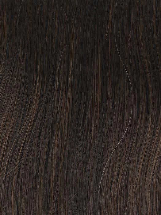Best In Class Wig by Gabor | Heat Friendly Synthetic Lace Front