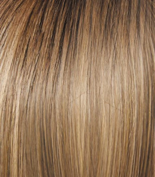 Best In Class Wig by Gabor | Heat Friendly Synthetic Lace Front