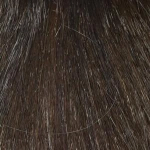 Brianna Wig by Envy | Synthetic (Lace Front Mono Part)