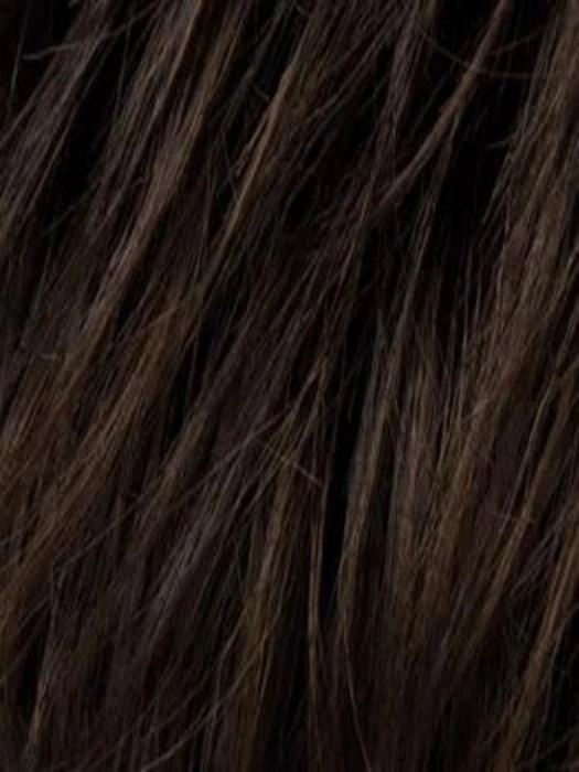 Cher Wig by Ellen Wille | Heat Friendly Synthetic
