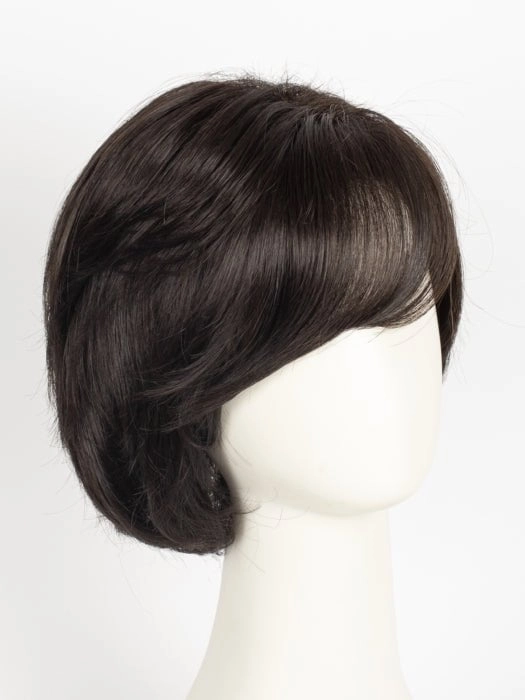Hillary | Synthetic Lace Front Wig (Basic Cap)