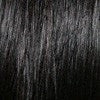 LFES-Femme | Synthetic Lace Front Wig (Basic Cap) | DISCONTINUED