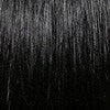 LFES-Femme | Synthetic Lace Front Wig (Basic Cap) | DISCONTINUED