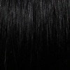 LFES-Femme | Synthetic Lace Front Wig (Basic Cap) | DISCONTINUED