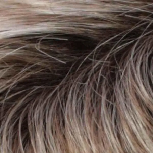 Petite Berlin Wig by Estetica Designs | Synthetic (Lace Front Mono Part)