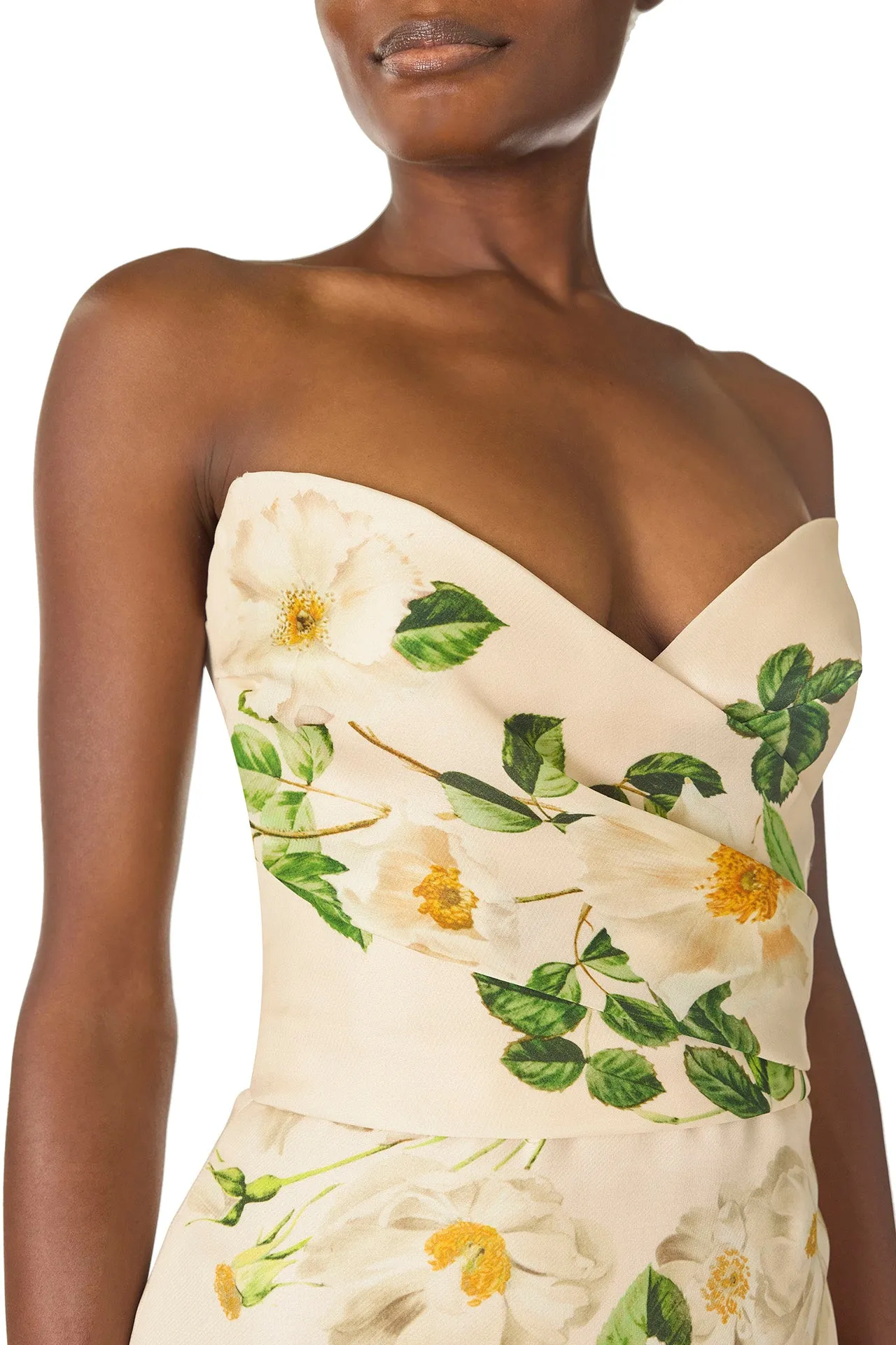 Rose Printed Column Gown