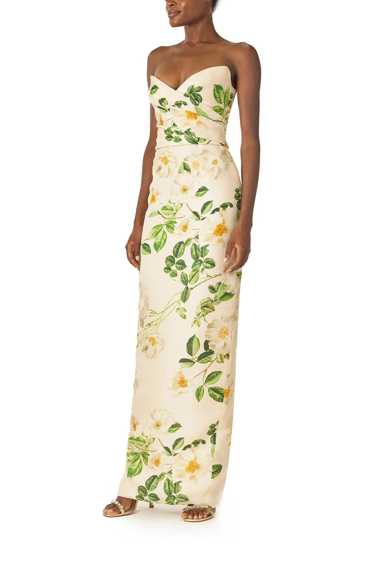 Rose Printed Column Gown