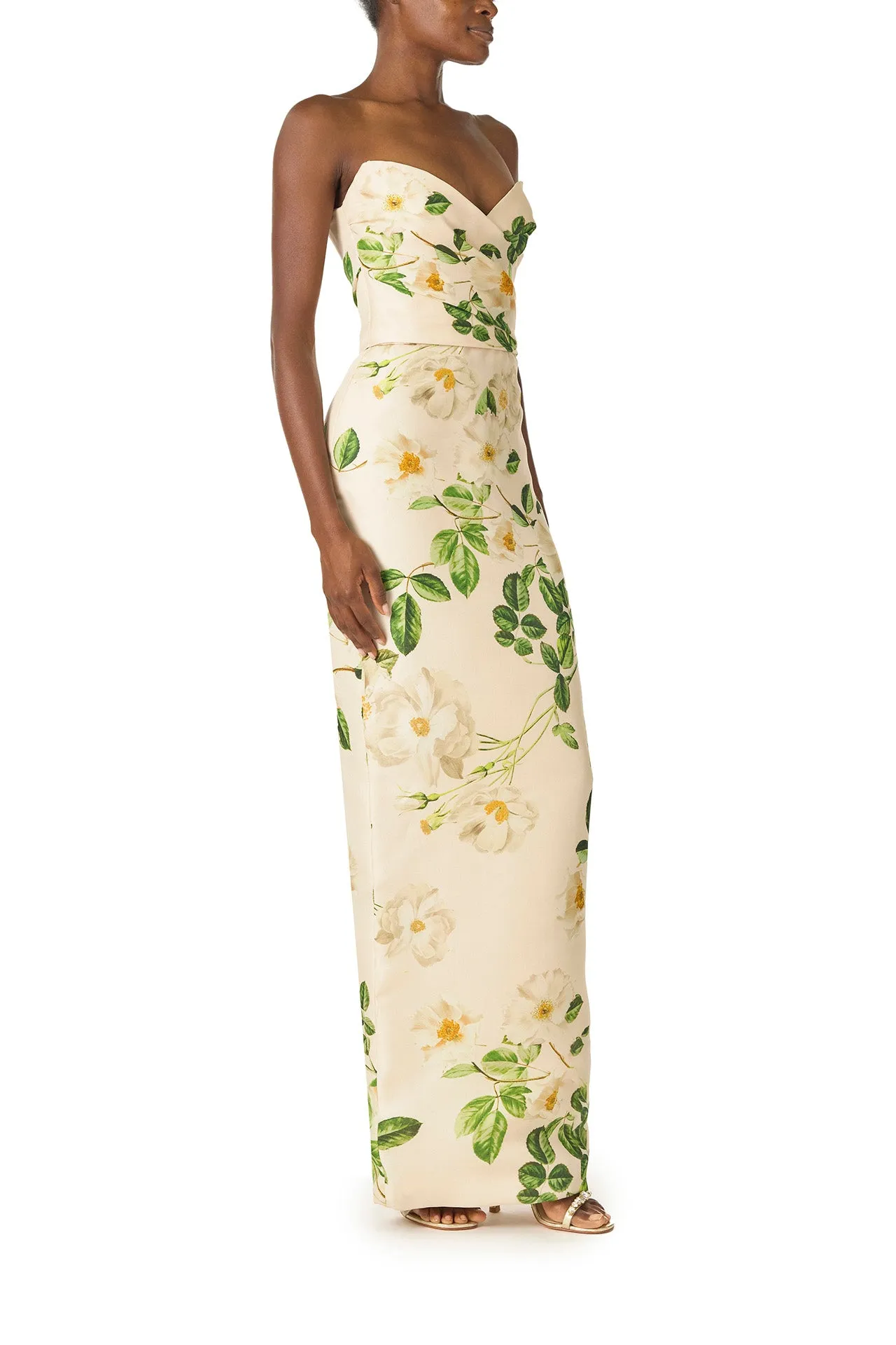 Rose Printed Column Gown