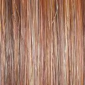 Straight Up With A Twist Elite Wig by Raquel Welch | Heat Friendly Synthetic (Hand Tied)