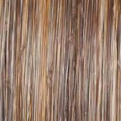 Straight Up With A Twist Elite Wig by Raquel Welch | Heat Friendly Synthetic (Hand Tied)