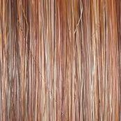 Straight Up With A Twist Elite Wig by Raquel Welch | Heat Friendly Synthetic (Hand Tied)