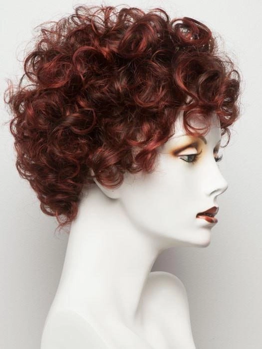Switch by Ellen Wille | Curly Lace Front Wig | CLOSEOUT
