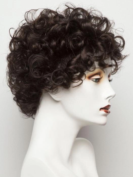 Switch by Ellen Wille | Curly Lace Front Wig | CLOSEOUT