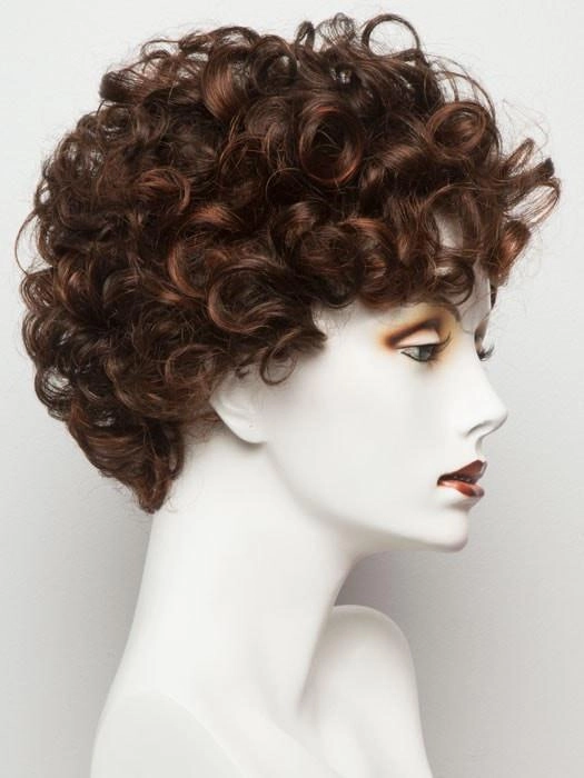 Switch by Ellen Wille | Curly Lace Front Wig | CLOSEOUT