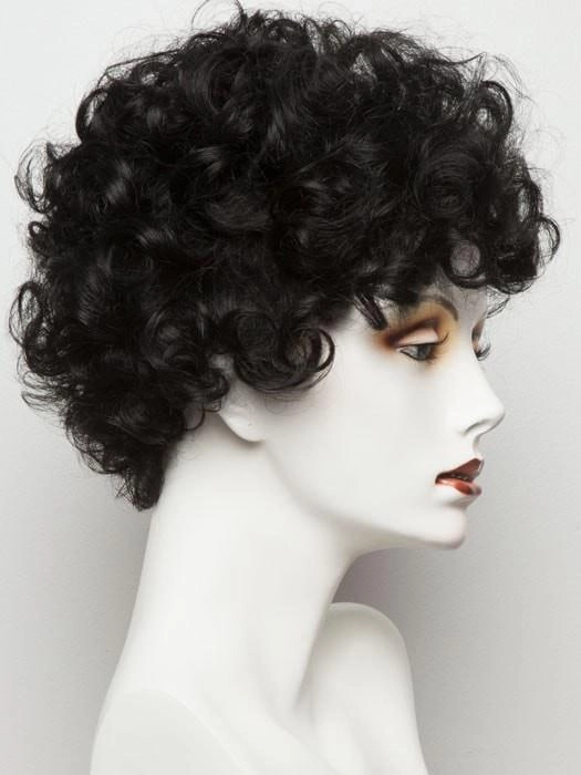Switch by Ellen Wille | Curly Lace Front Wig | CLOSEOUT