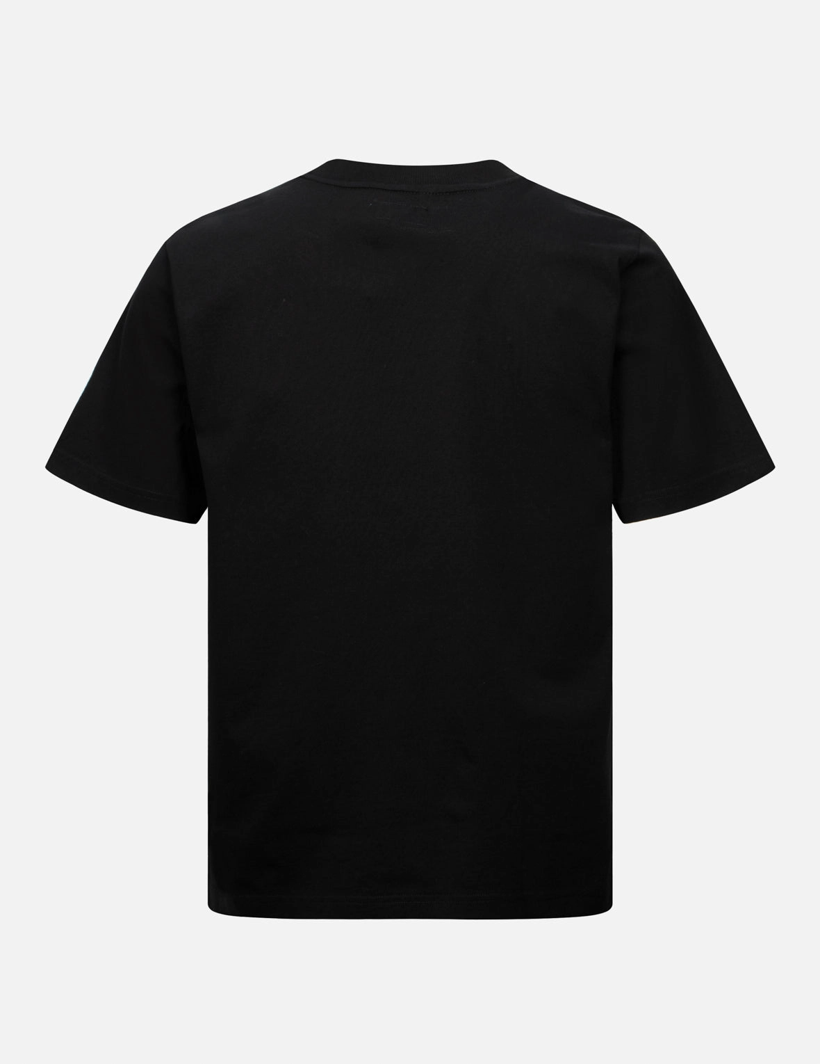 Tanuki and Daruma Print Regular Fit T-Shirt
