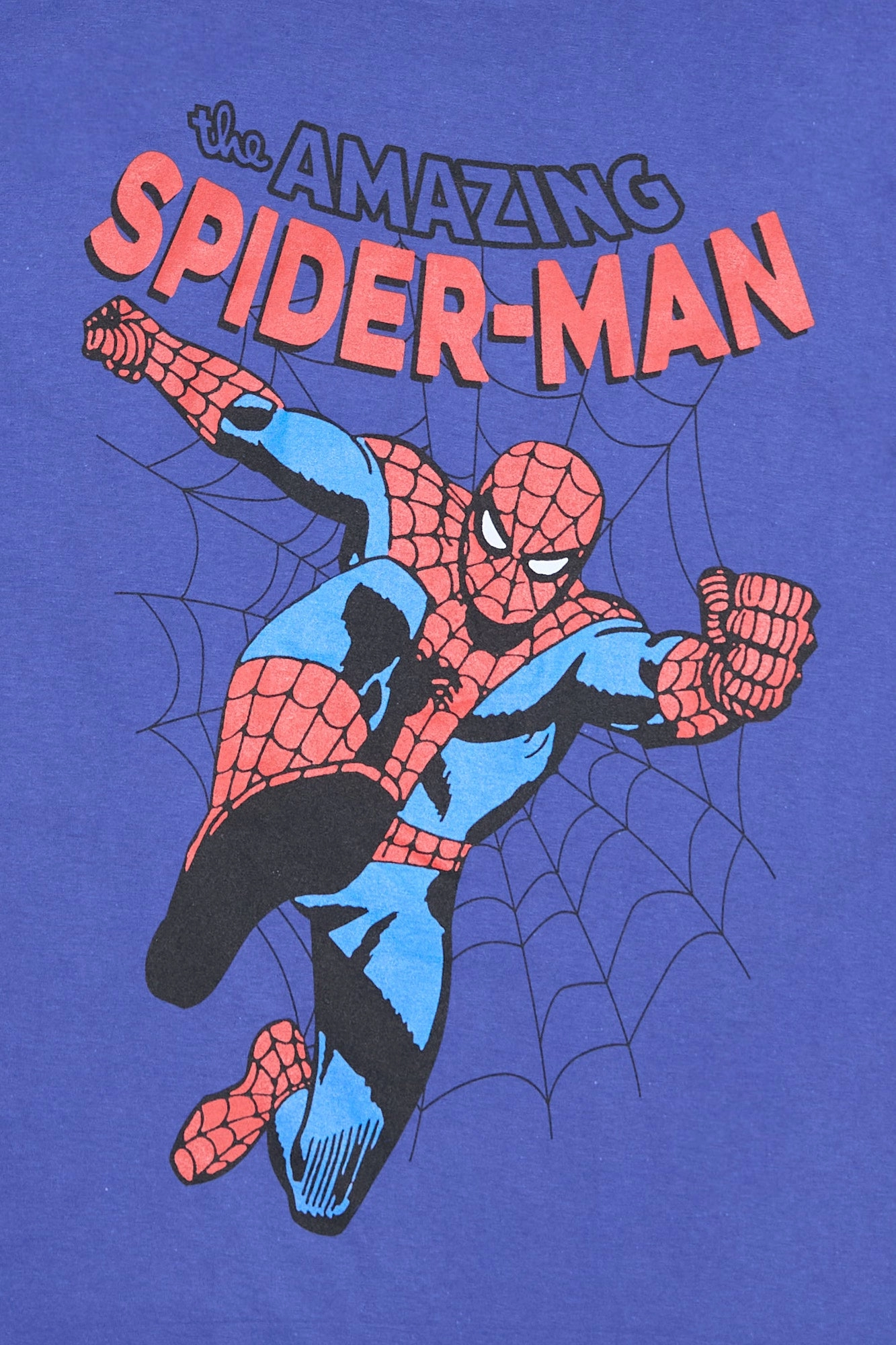 The Amazing Spider-Man Graphic Relaxed Tee