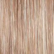 Well Played Wig by Raquel Welch | Synthetic Lace Front Partial (Mono)